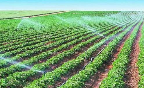 免费被操视频农田高 效节水灌溉